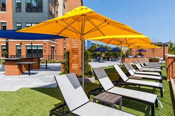 A row of lawn chairs with umbrellas in a courtyard